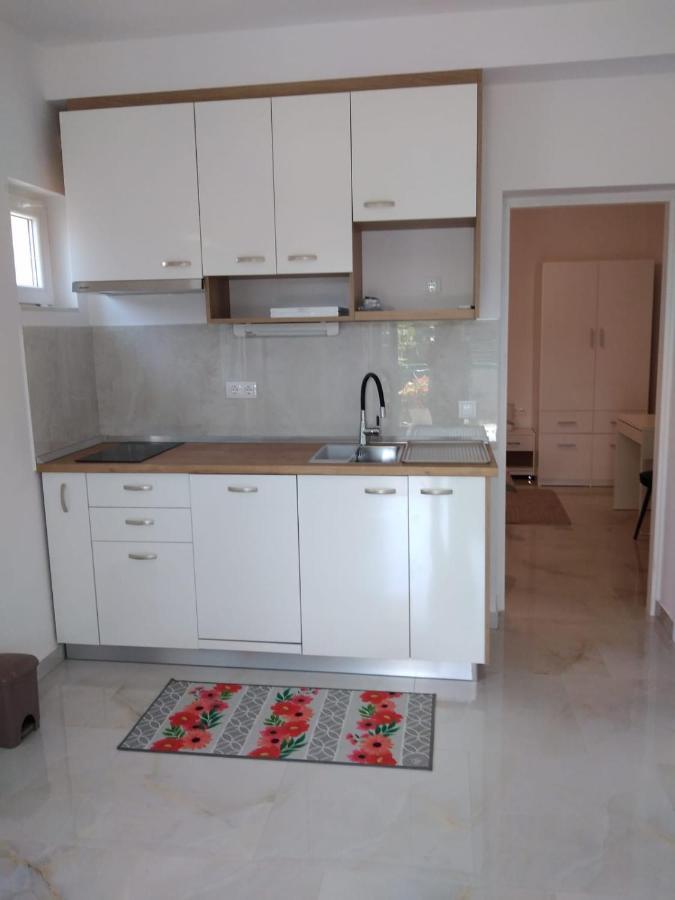 Apartment With Terrace And Garden Пировац Екстериор снимка
